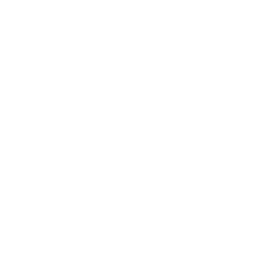 Buddemeyer Luxus